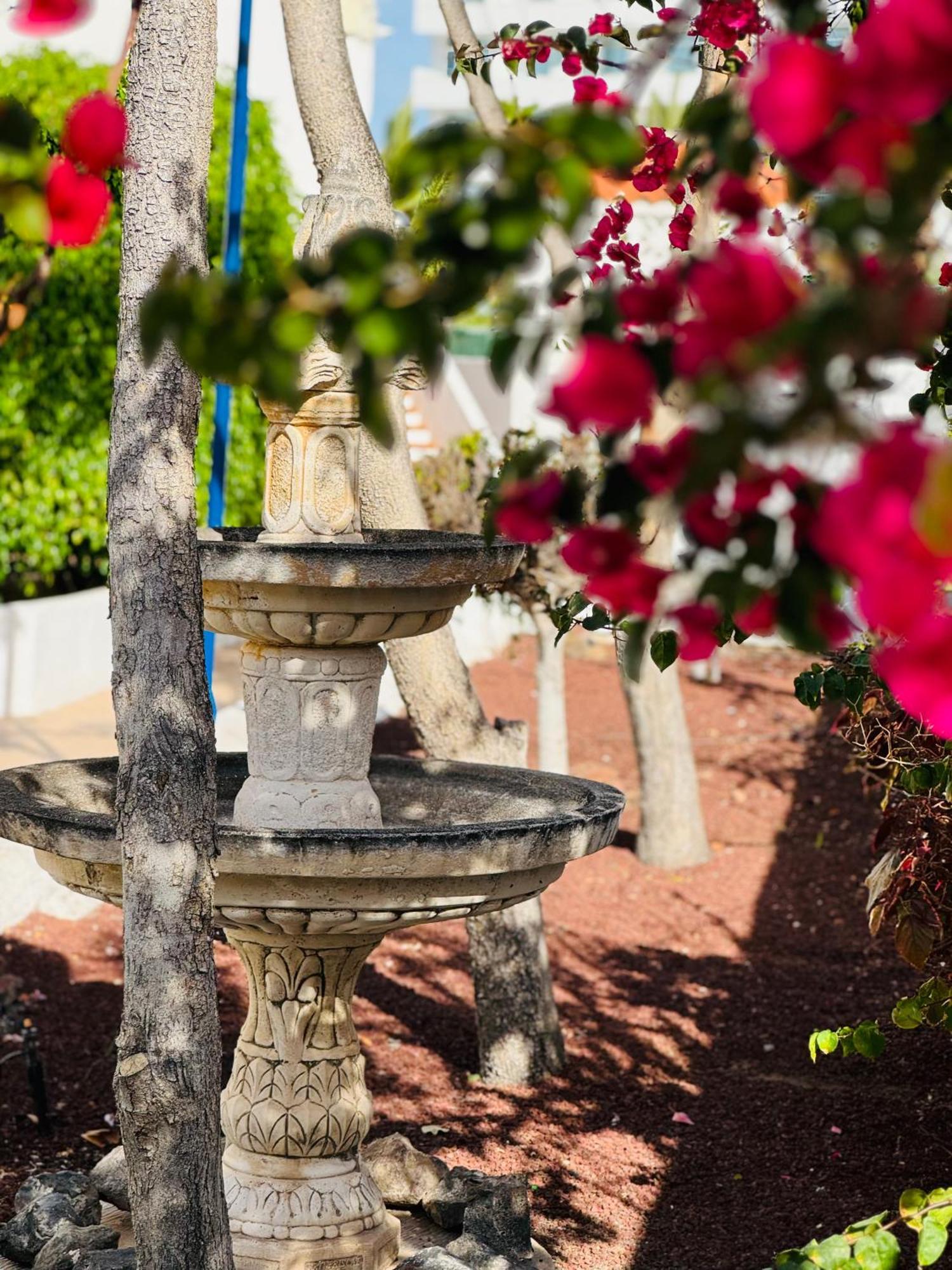 Garden City Private Apartment Costa Adeje Playa Feñabe Dış mekan fotoğraf